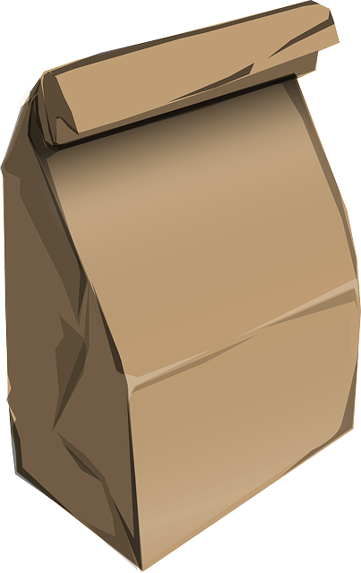 Government of Ghana urged to invest in the production of paper bags