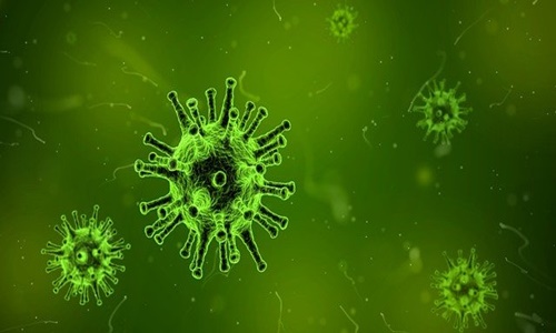 Nigeria CDC raises the alarm after Marburg virus outbreak in W Africa